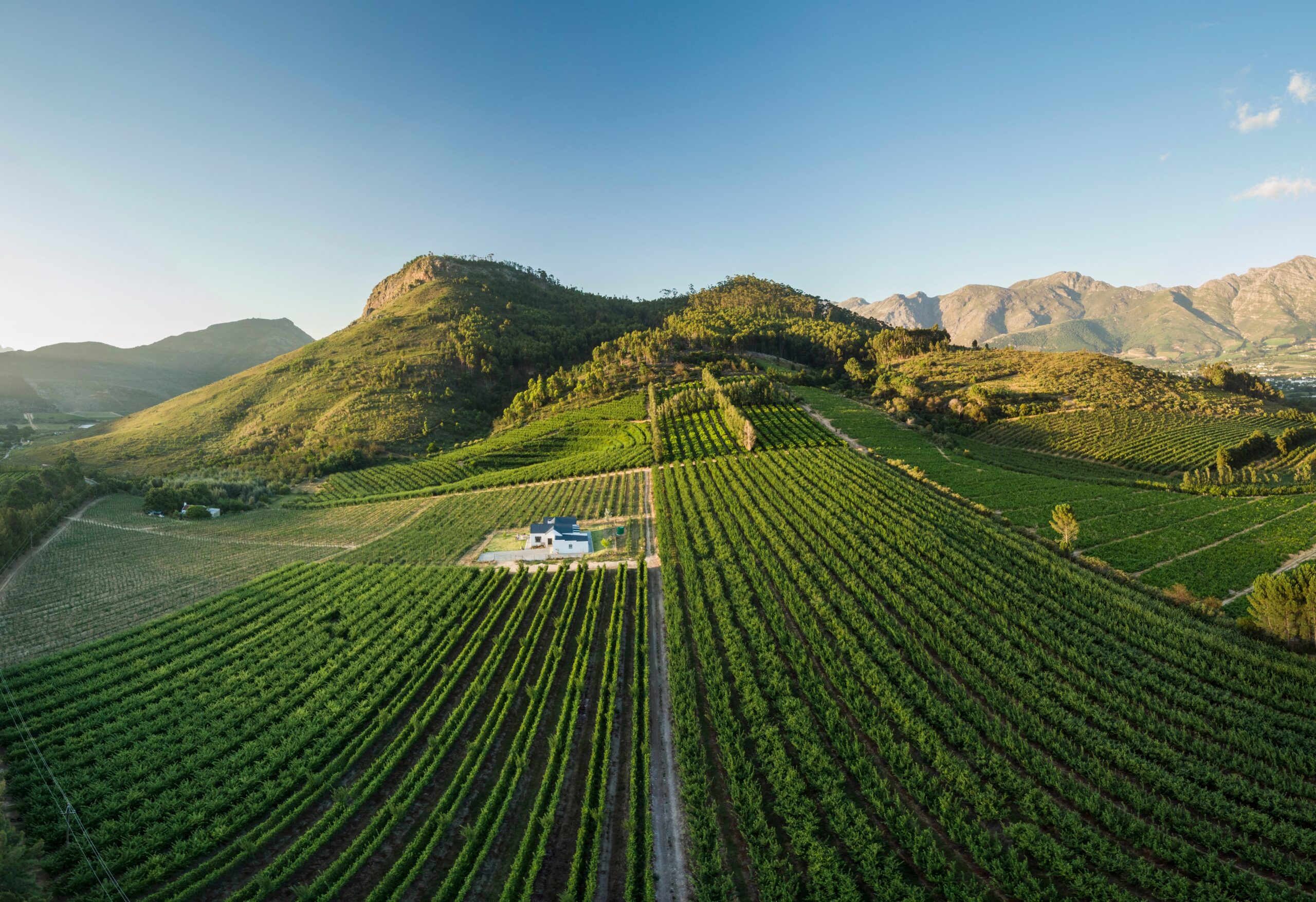 Aerial,View,Of,Wine,Vineyards,Near,Franschhoek,,Western,Cape,,South